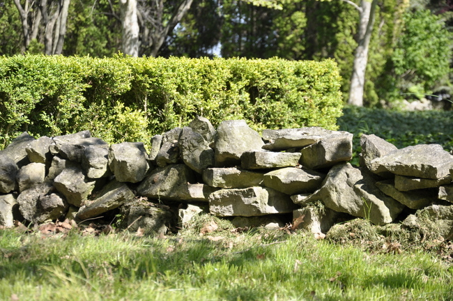 secret garden stone wall