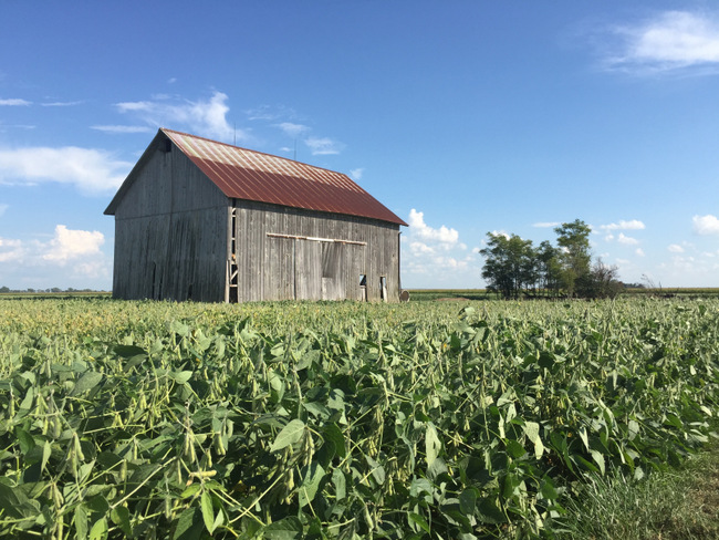 13-barn-with-plants