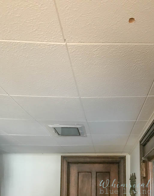 The wasp nest is in the ceiling between the little hole the exterminator made for his camera and the light that we duct taped to keep the wasps from crawling out! Goodbye cardboard ceiling tiles (and wasp nest)!
